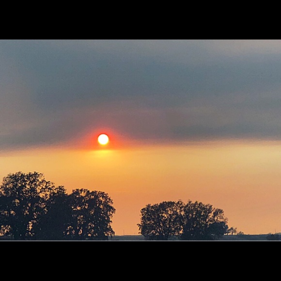 Meet your Posher, Tracie - Picture 1 of 1